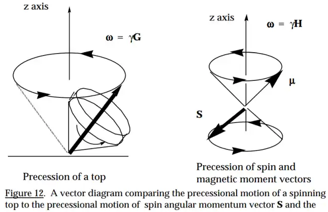 vector diagram of precessional motion